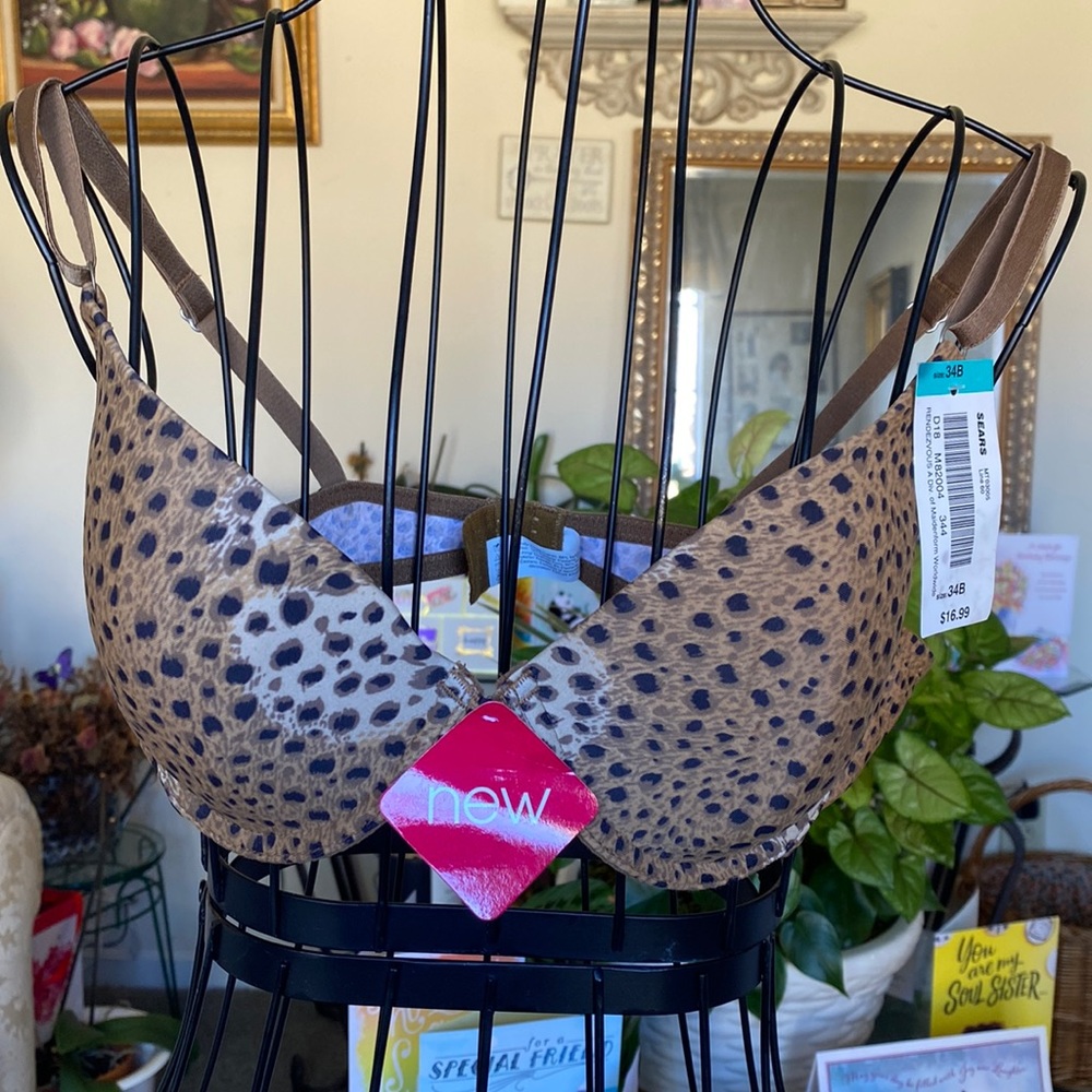 Rendezvous Black & Brown size 34 B bra